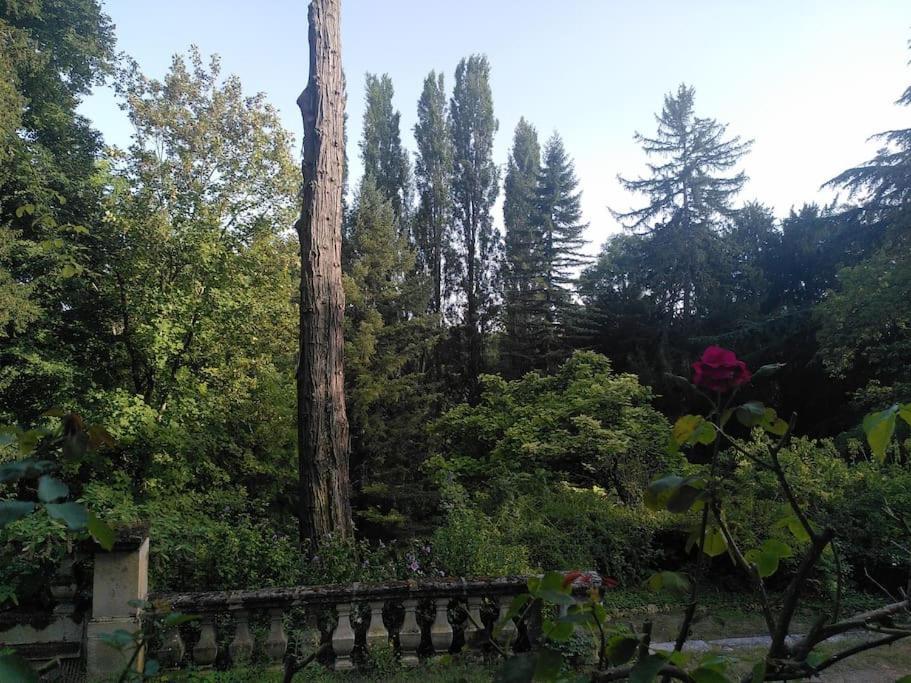朗吉亚斯Magnifiques Ecuries Juste Renovees - Domaine De La Mulotiere别墅 外观 照片